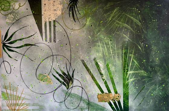 Rainforest, 2024